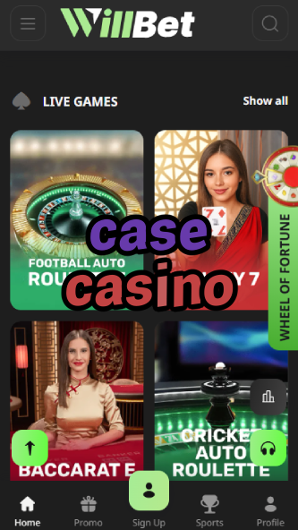 Case Casino - Mystery-Themed Casino Games-www.bdqngd.com